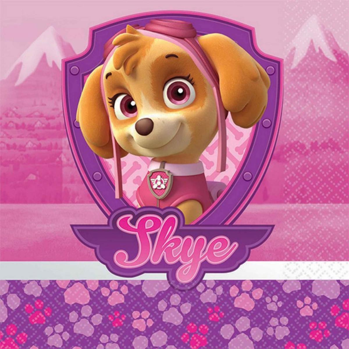 Paw Patrol Girl Beverage Napkins 16pk