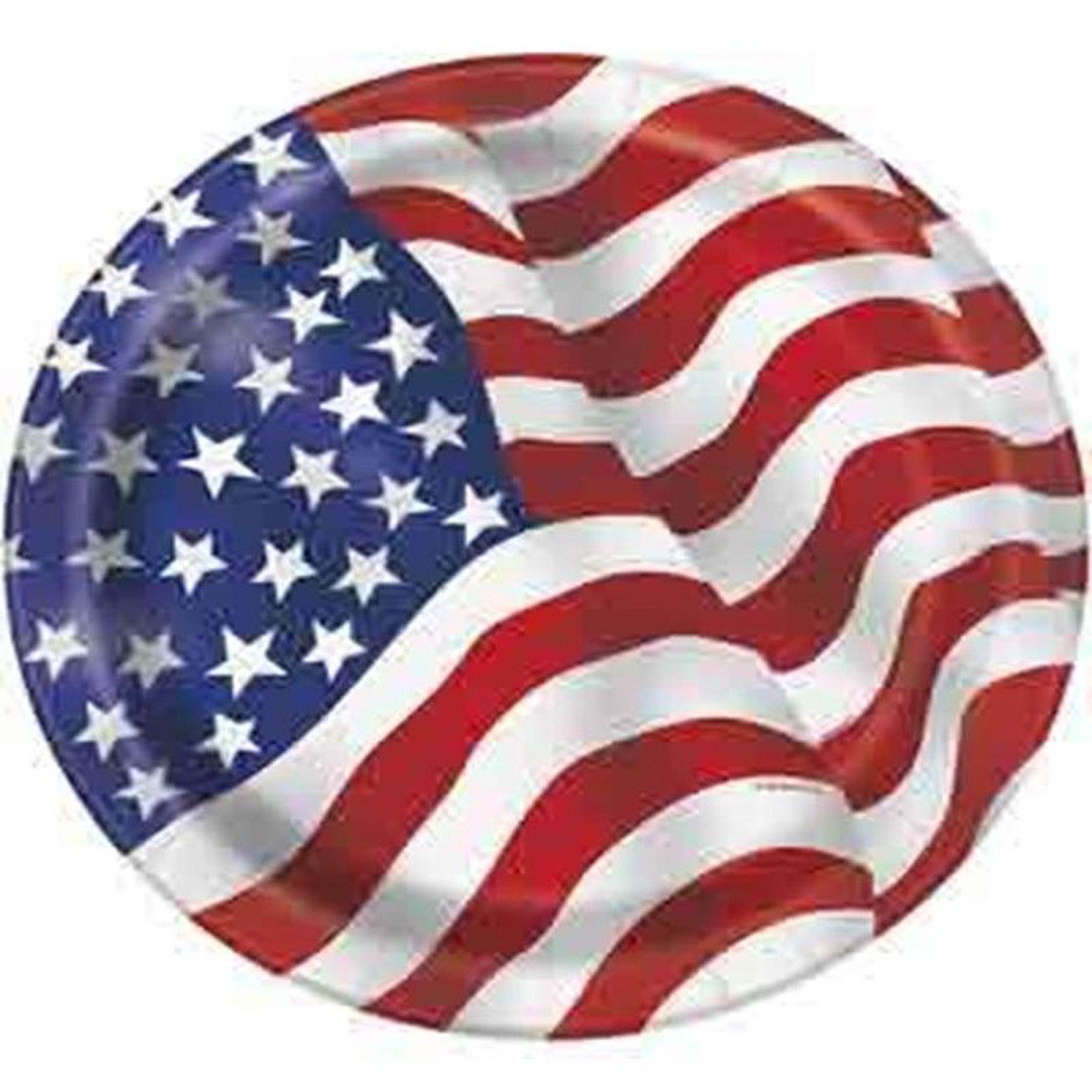USA Flag Plate (L) 8ct