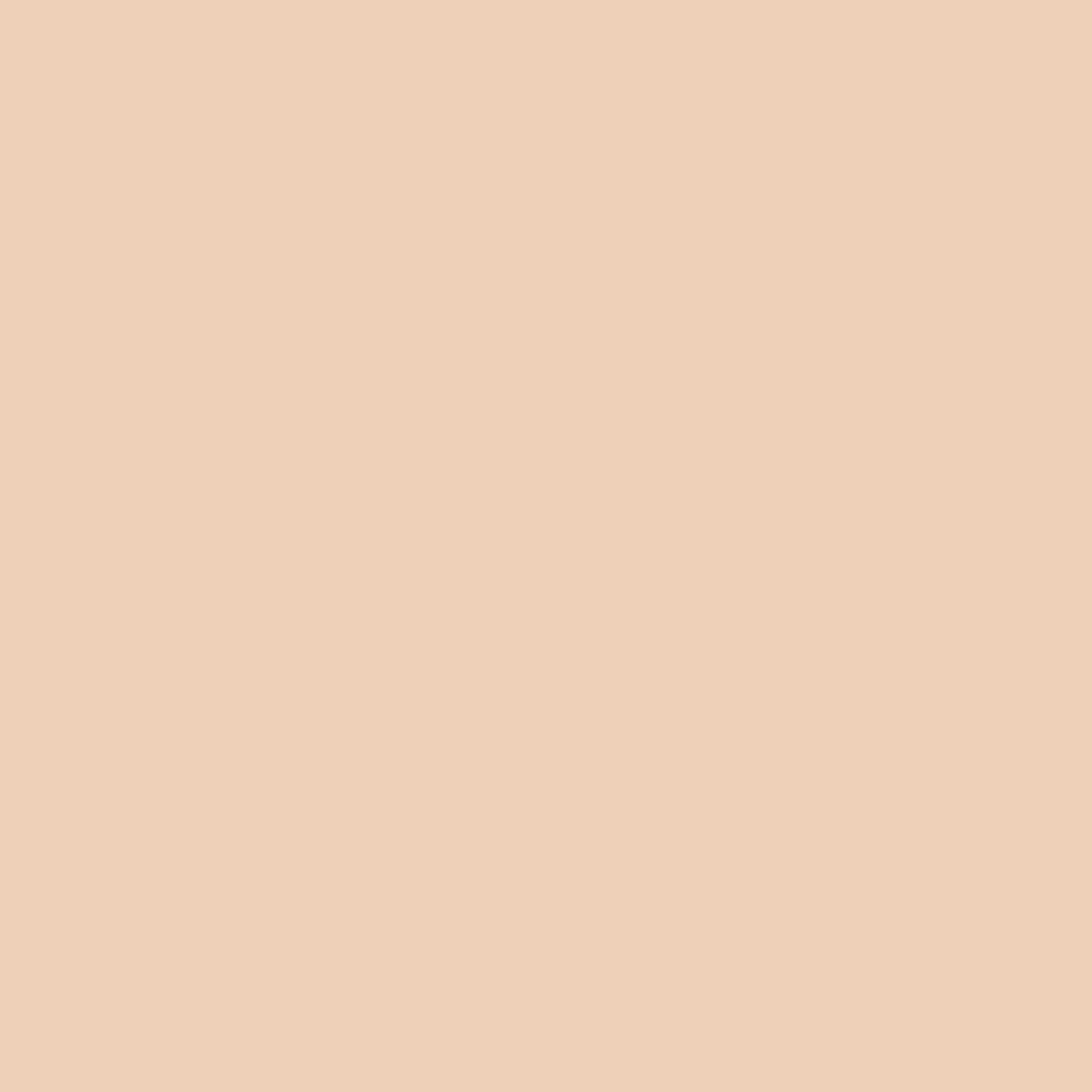 Zebra CLiCKART Retractable Marker .6mm Pale Orange